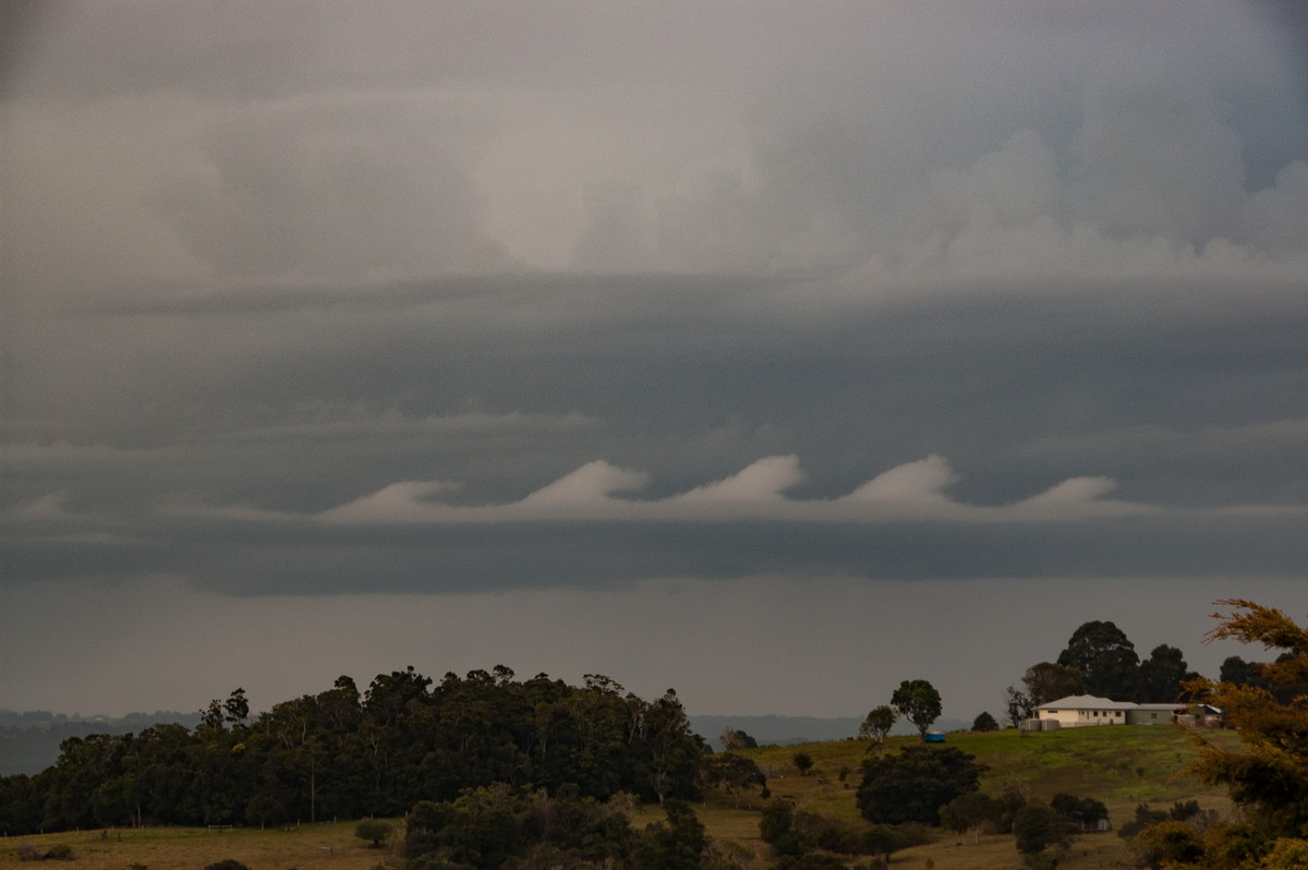 nimbostratus nimbostratus_cloud : McLeans Ridges, NSW   15 July 2008