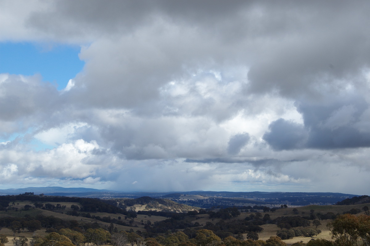 cumulus mediocris : Ben Lomond, NSW   28 July 2008