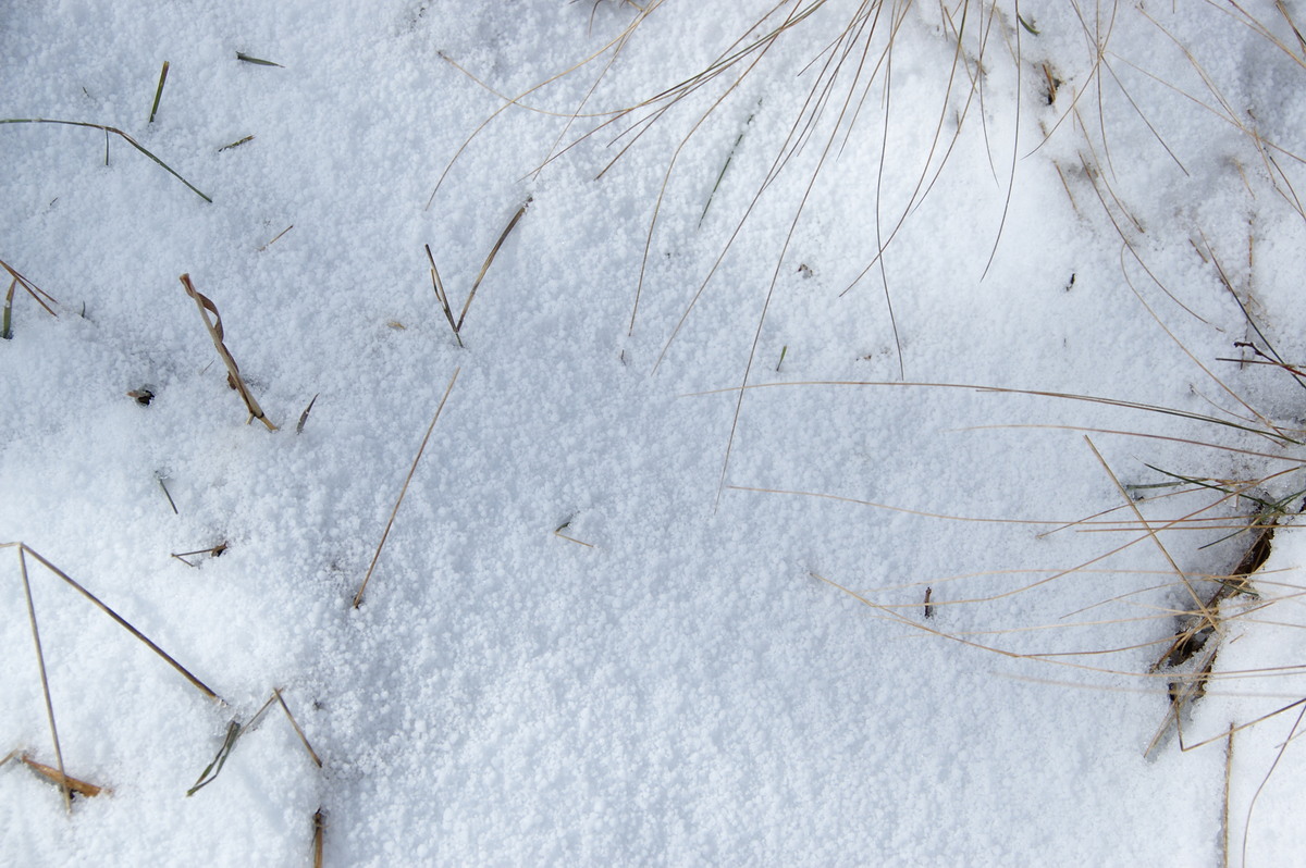 snow snow_pictures : Ben Lomond, NSW   28 July 2008