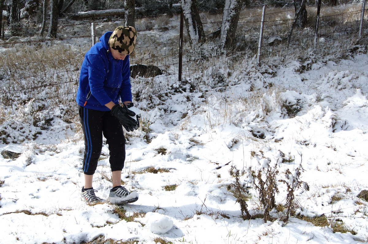 snow snow_pictures : Ben Lomond, NSW   28 July 2008