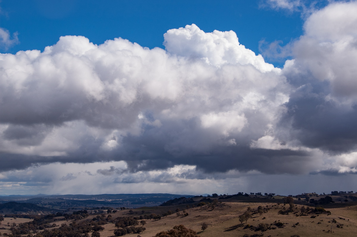 cumulus congestus : Ben Lomond, NSW   28 July 2008