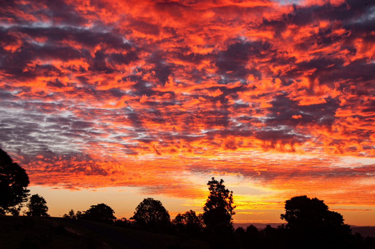 sunset sunset_pictures : McLeans Ridges, NSW   3 August 2008