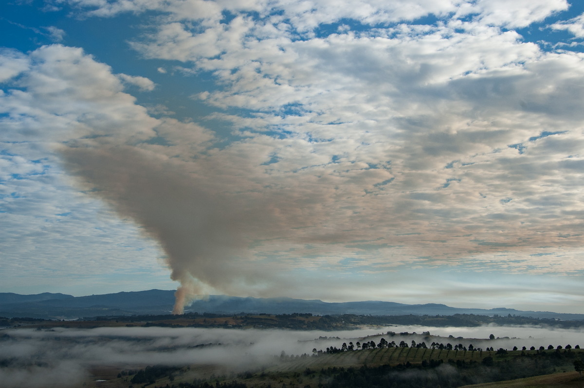 bushfire wild_fire : McLeans Ridges, NSW   4 August 2008