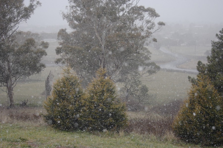 snow snow_pictures : Oberon, NSW   10 August 2008