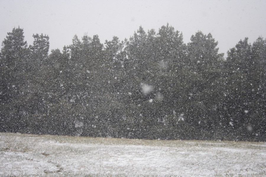 snow snow_pictures : Oberon, NSW   10 August 2008