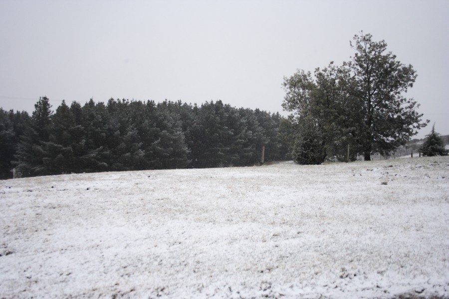 snow snow_pictures : Oberon, NSW   10 August 2008