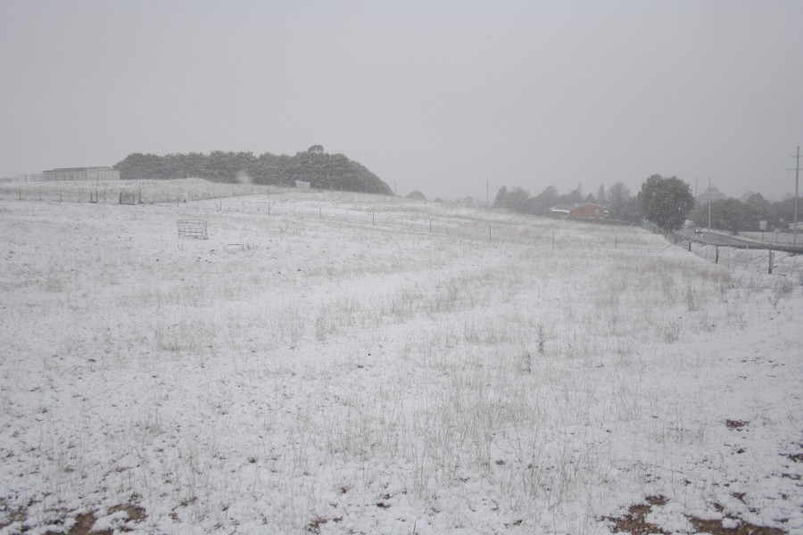 snow snow_pictures : Oberon, NSW   10 August 2008