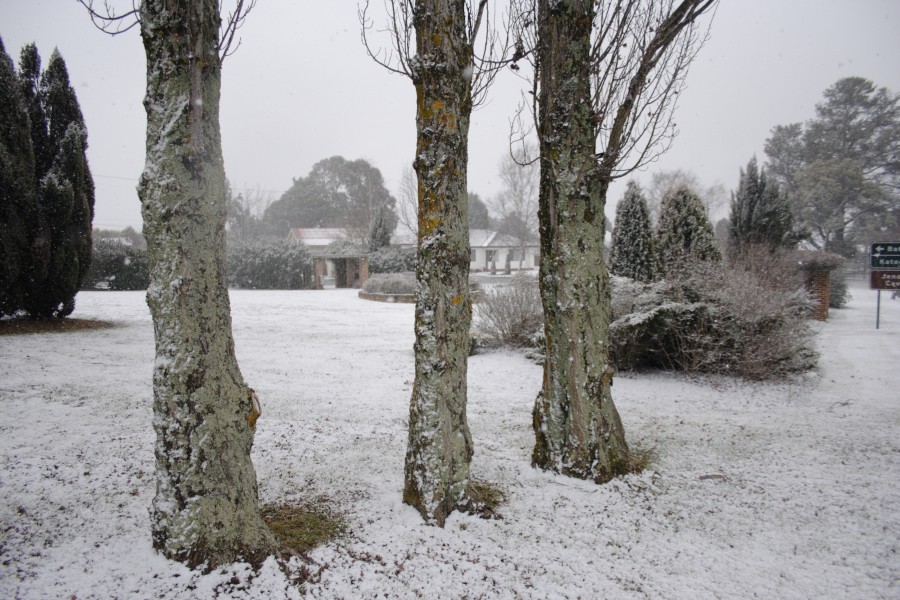 snow snow_pictures : Oberon, NSW   10 August 2008