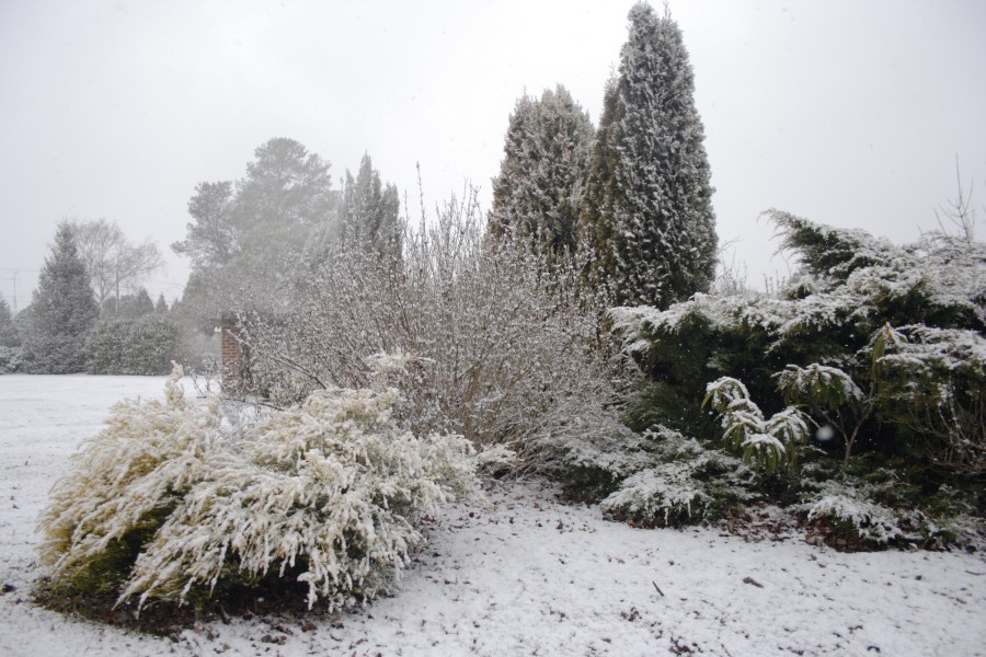 snow snow_pictures : Oberon, NSW   10 August 2008