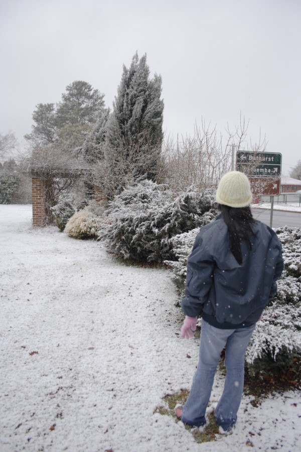 snow snow_pictures : Oberon, NSW   10 August 2008