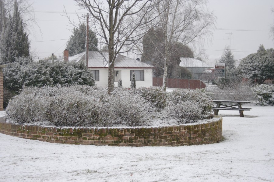 snow snow_pictures : Oberon, NSW   10 August 2008