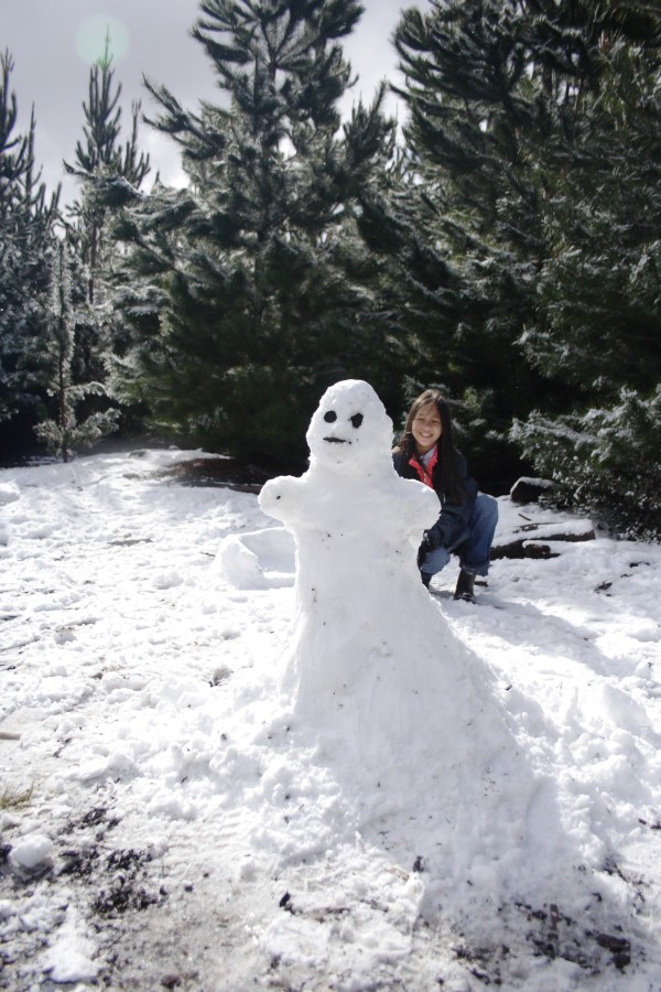 snow snow_pictures : S of Shooters Hill, NSW   10 August 2008