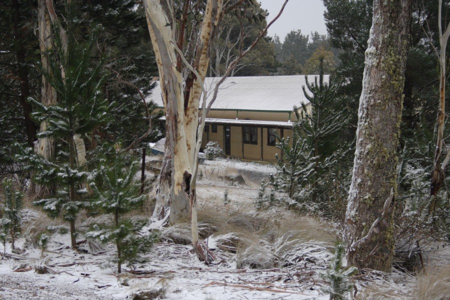 snow snow_pictures : near Mt Trickett, NSW   10 August 2008