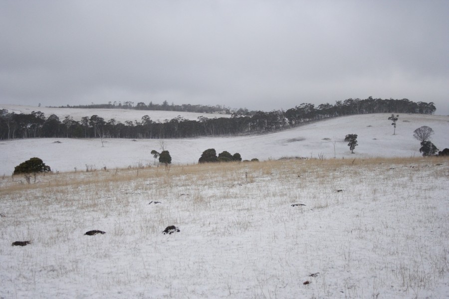 snow snow_pictures : N of Mt Trickett, NSW   10 August 2008