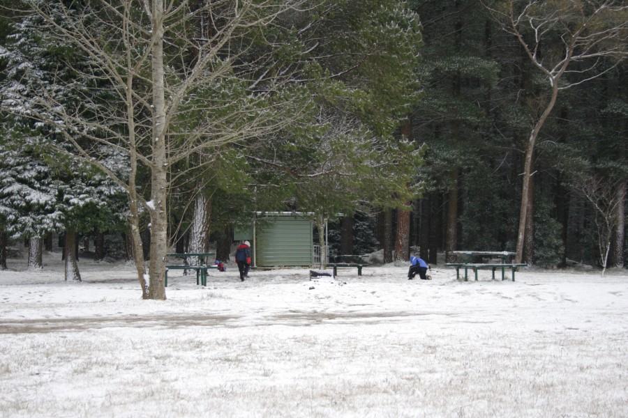 snow snow_pictures : Mt Bindo, NSW   10 August 2008