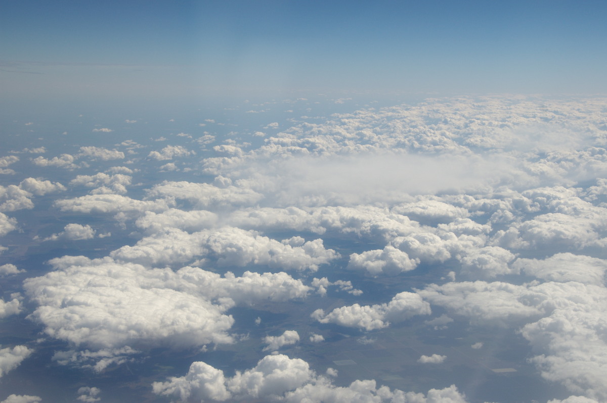 cumulus humilis : Northern NSW   21 August 2008