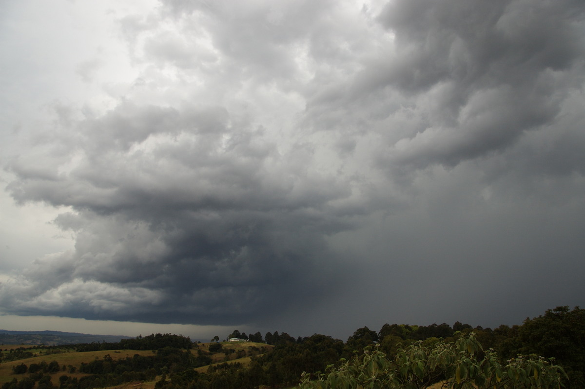 cumulonimbus thunderstorm_base : McLeans Ridges, NSW   27 August 2008