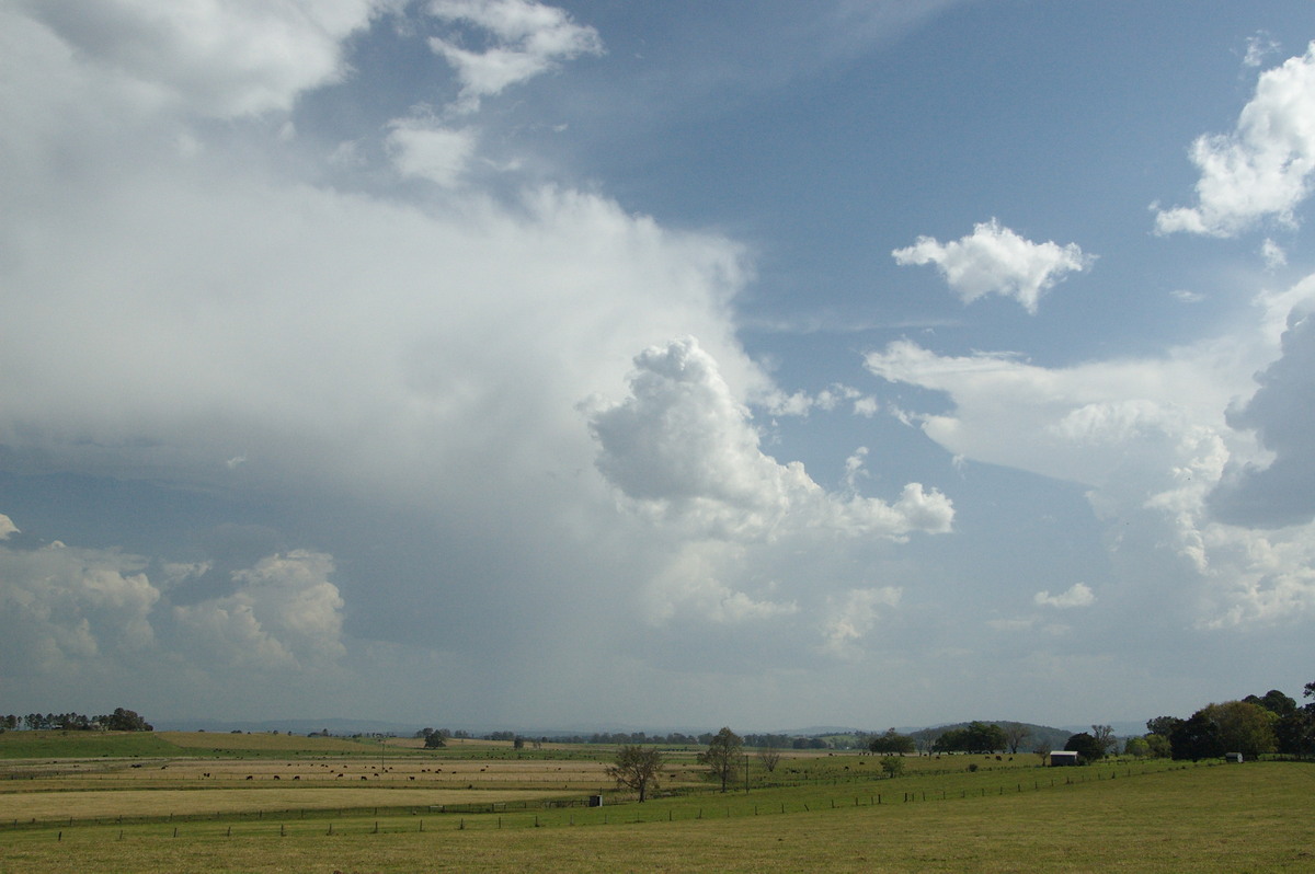 thunderstorm cumulonimbus_incus : near Kyogle, NSW   20 September 2008