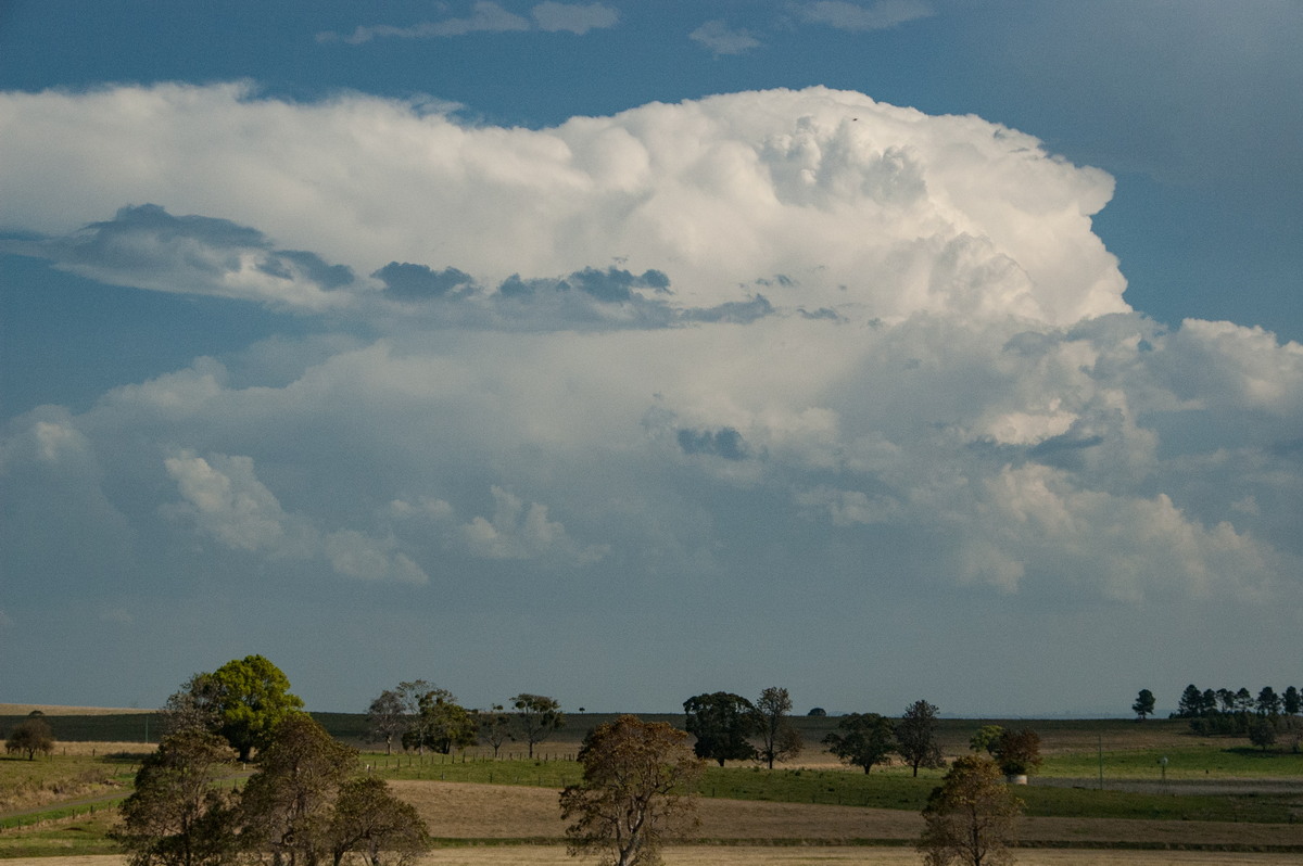 thunderstorm cumulonimbus_incus : near Kyogle, NSW   20 September 2008