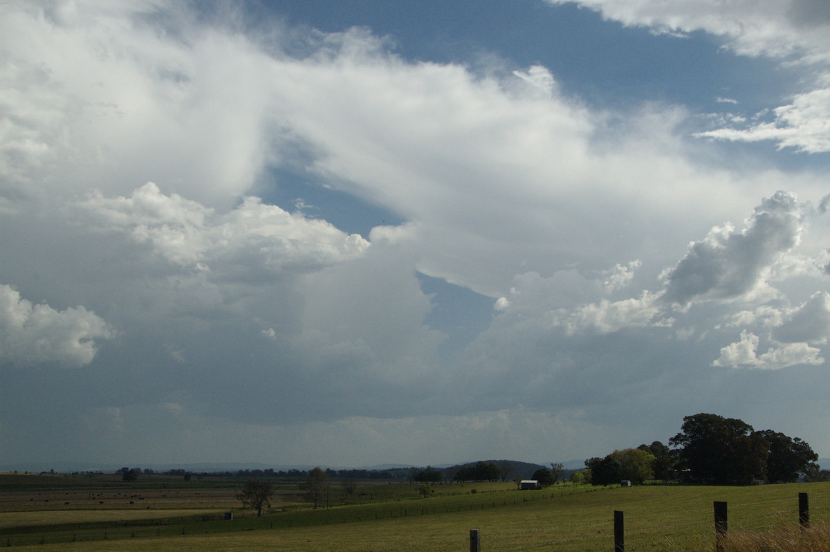 anvil thunderstorm_anvils : near Kyogle, NSW   20 September 2008