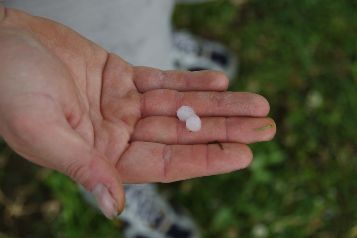 hailstones hail_stones : near Casino, NSW   20 September 2008