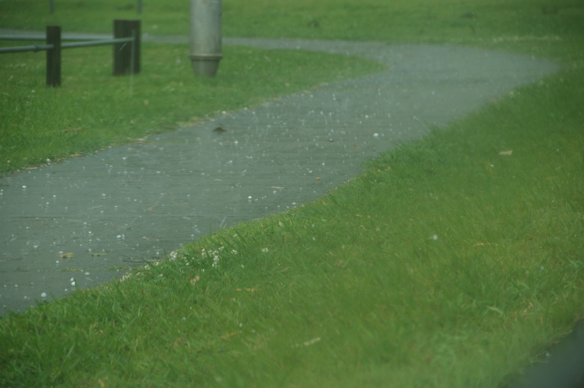 hailstones hail_stones : Kyogle, NSW   20 September 2008