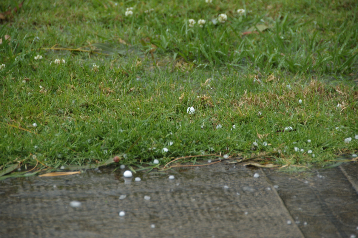 hailstones hail_stones : Kyogle, NSW   20 September 2008