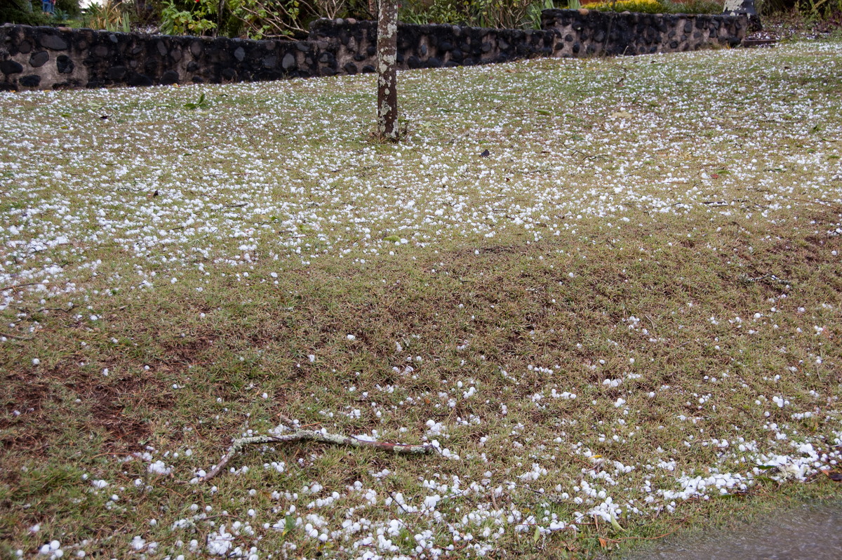 hailstones hail_stones : Geneva, NSW   20 September 2008