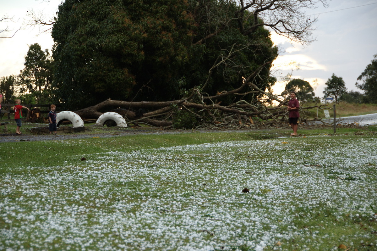 hailstones hail_stones : Geneva, NSW   20 September 2008