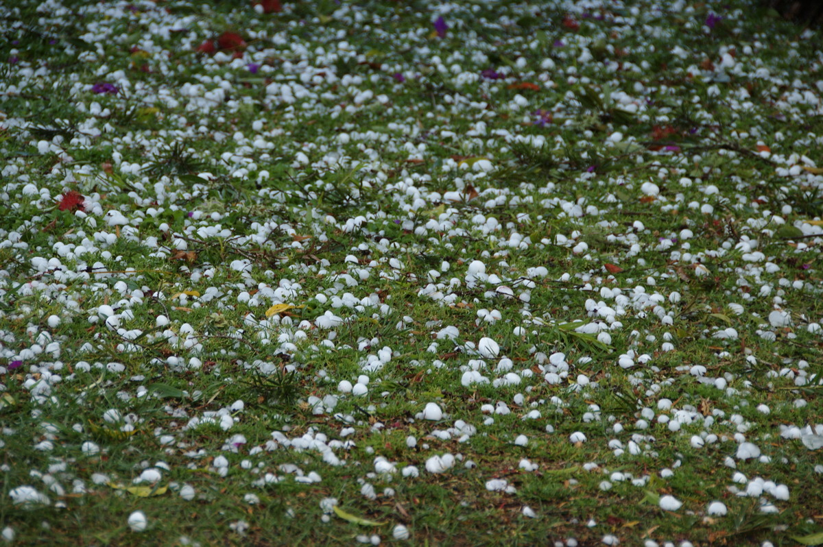 hailstones hail_stones : Geneva, NSW   20 September 2008