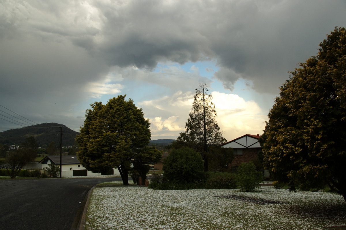 thunderstorm cumulonimbus_incus : Geneva, NSW   20 September 2008