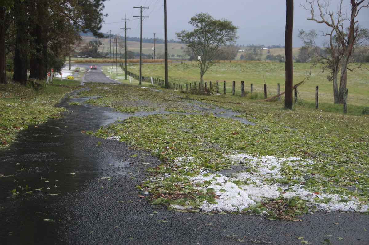 disasters storm_damage : Geneva, NSW   20 September 2008