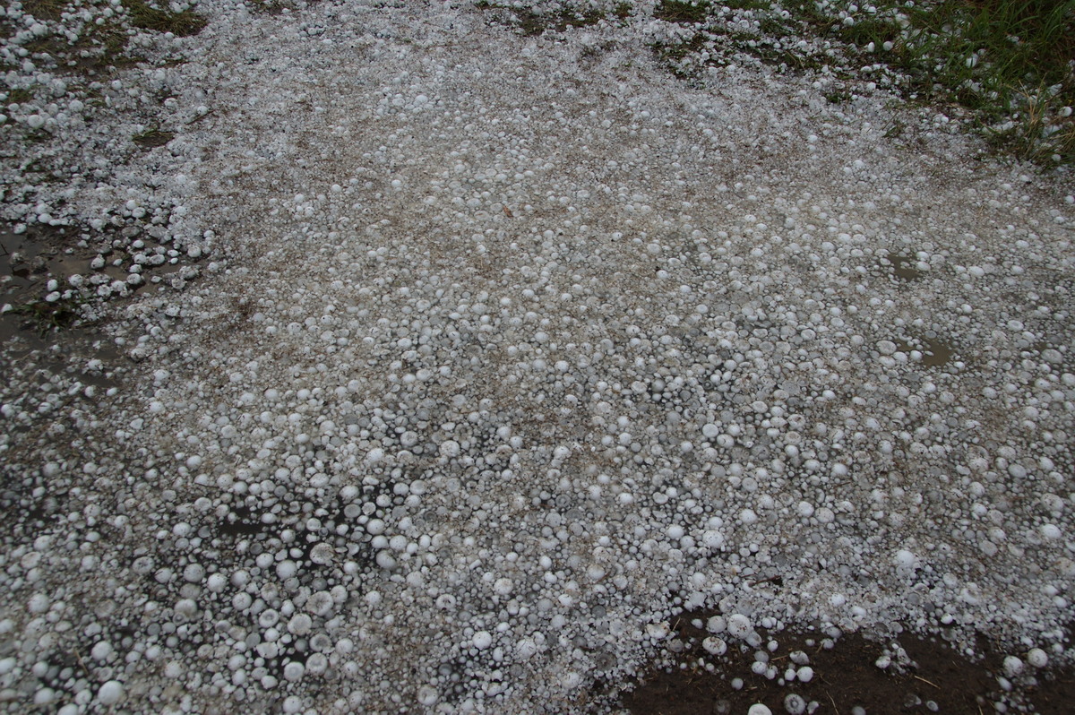 hailstones hail_stones : Geneva, NSW   20 September 2008