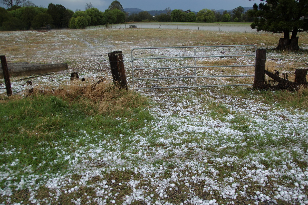 hailstones hail_stones : Geneva, NSW   20 September 2008