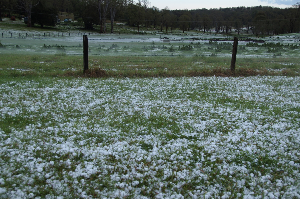 hailstones hail_stones : Geneva, NSW   20 September 2008