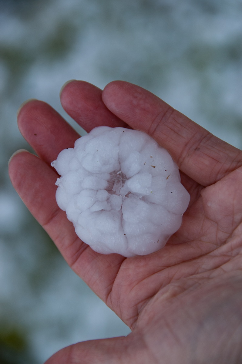 hailstones hail_stones : Geneva, NSW   20 September 2008