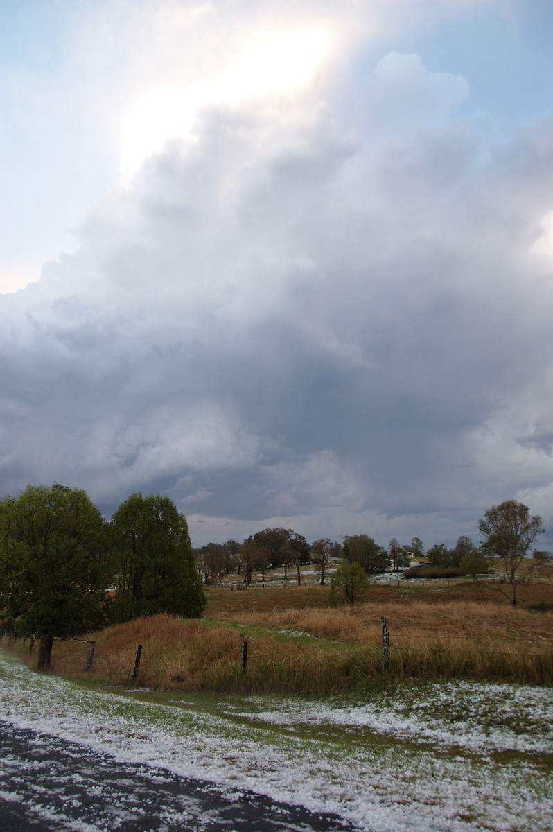 thunderstorm cumulonimbus_calvus : Geneva, NSW   20 September 2008