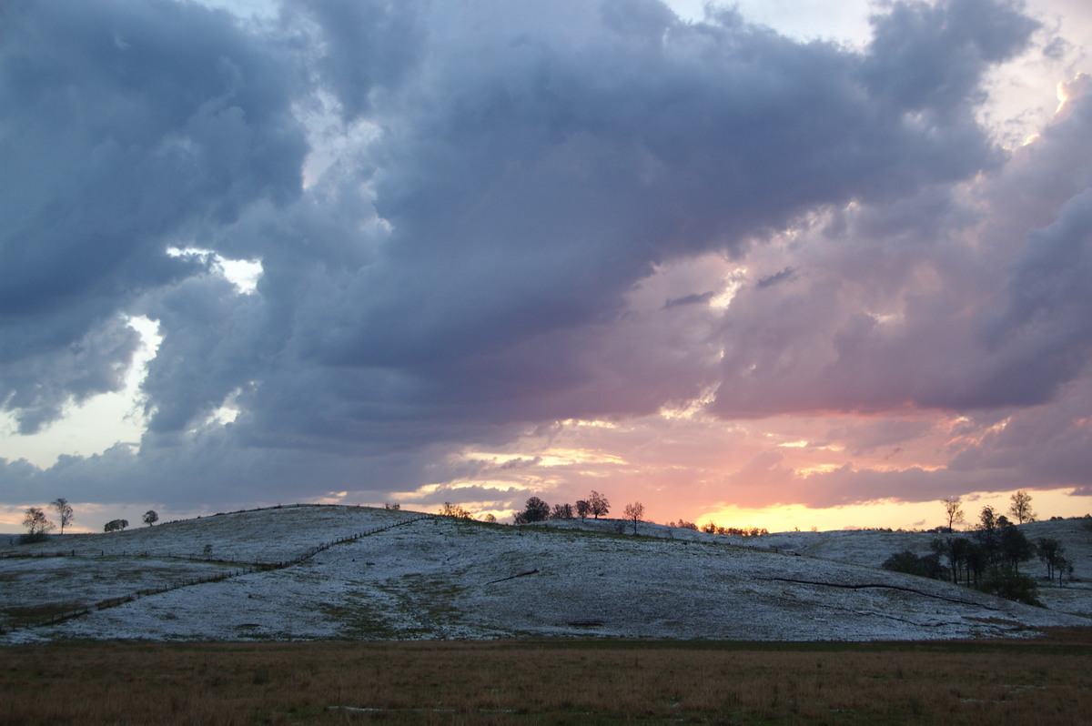 cumulus congestus : Geneva, NSW   20 September 2008