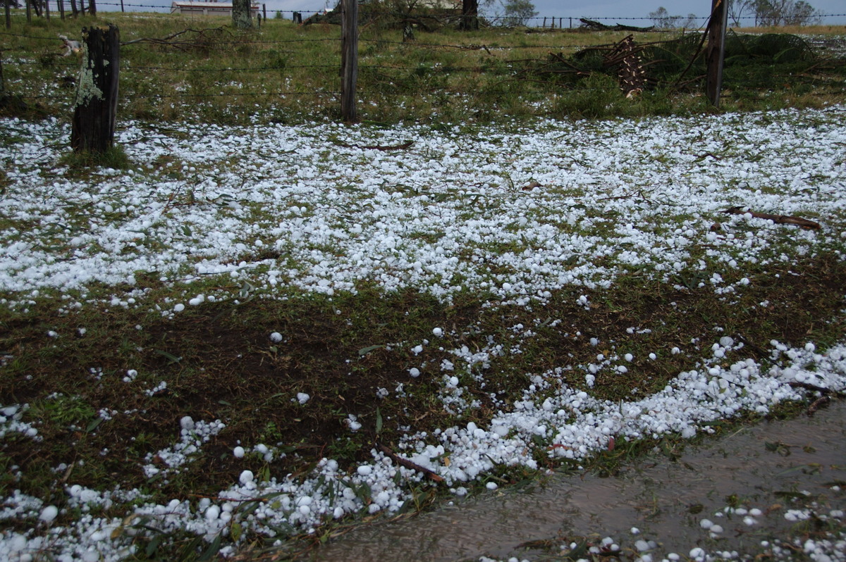 hailstones hail_stones : Geneva, NSW   20 September 2008