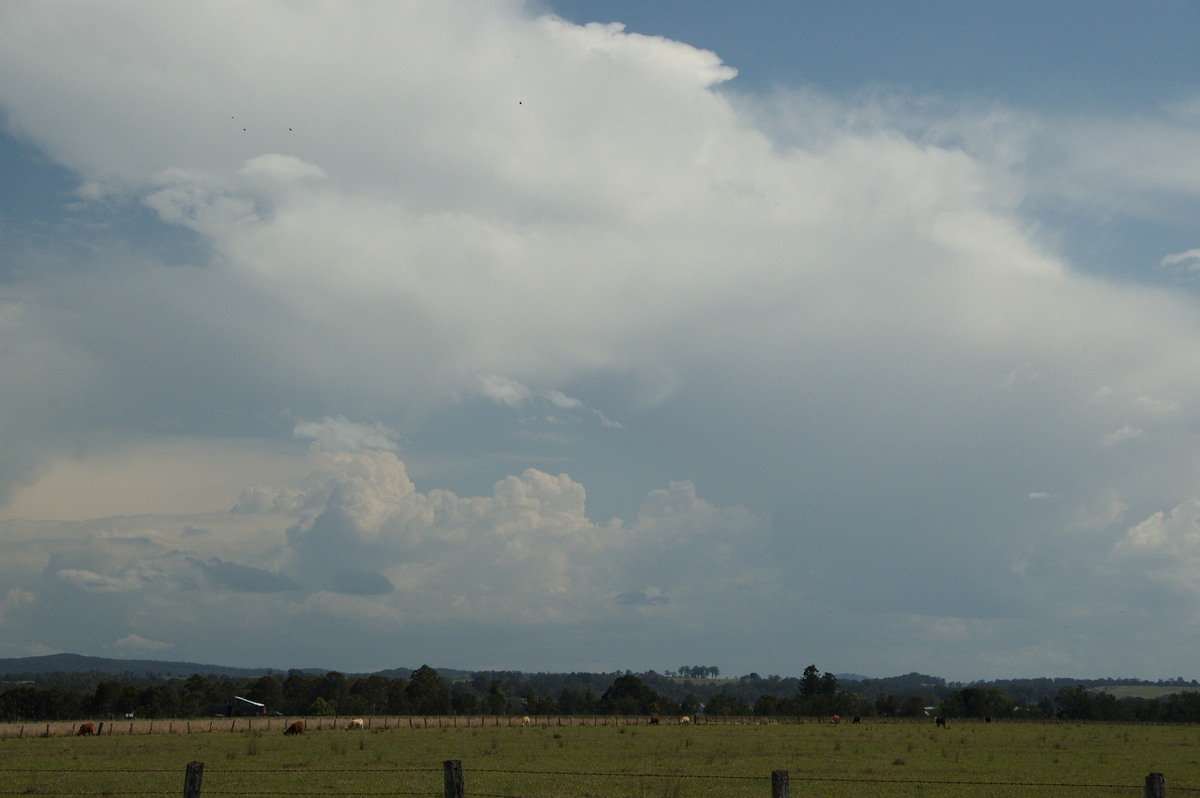 anvil thunderstorm_anvils : N of Casino, NSW   21 September 2008