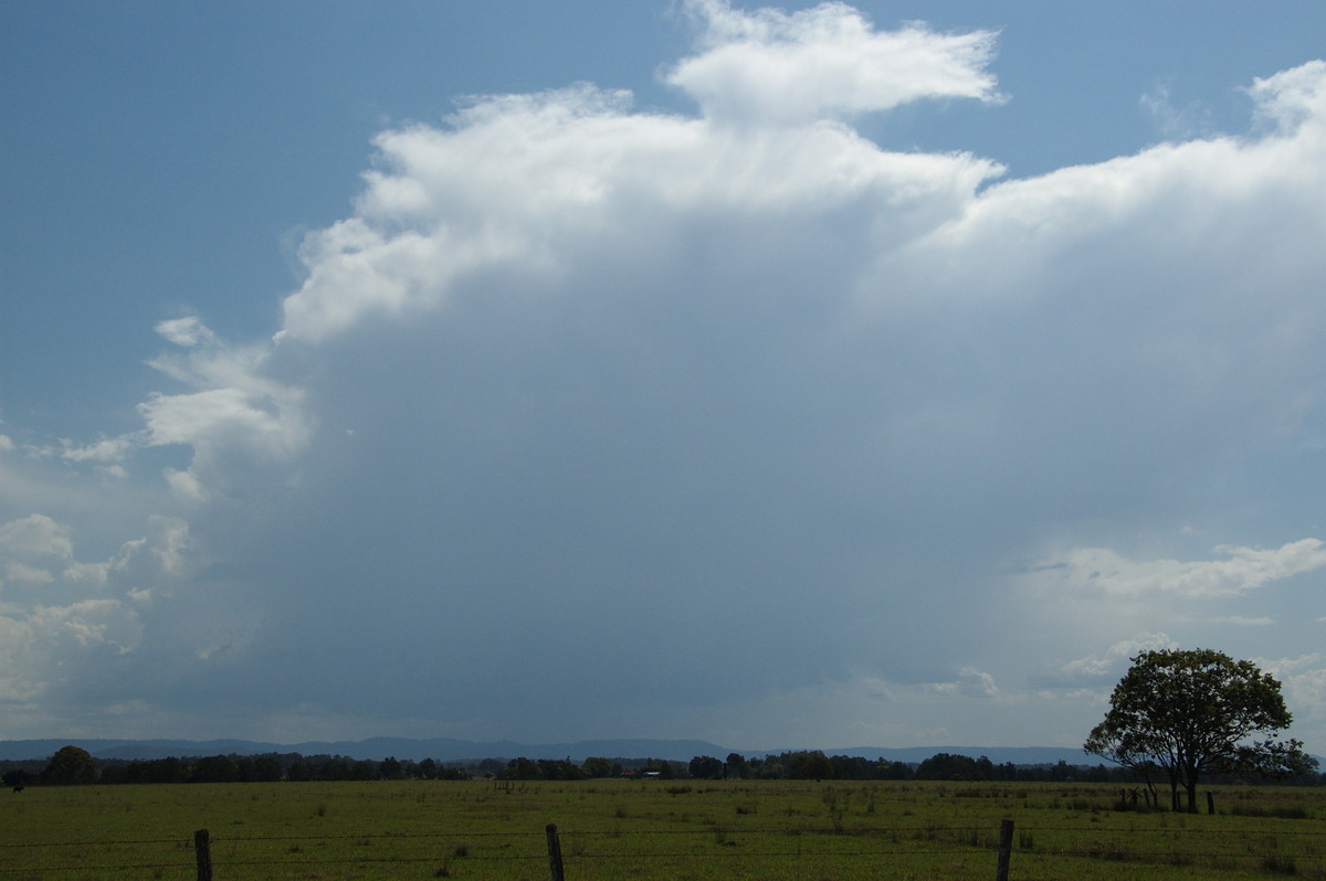 thunderstorm cumulonimbus_incus : N of Casino, NSW   21 September 2008