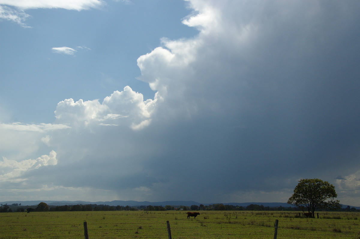 thunderstorm cumulonimbus_incus : N of Casino, NSW   21 September 2008