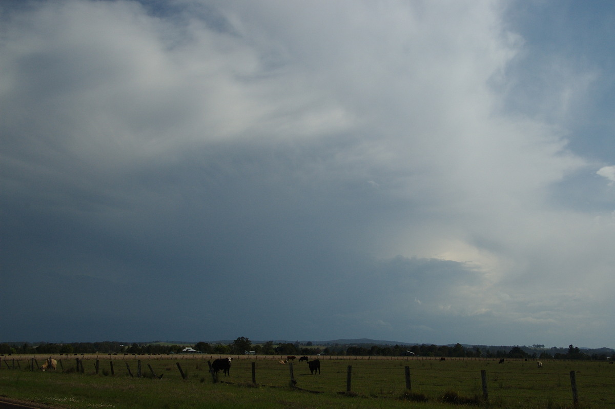 anvil thunderstorm_anvils : N of Casino, NSW   21 September 2008