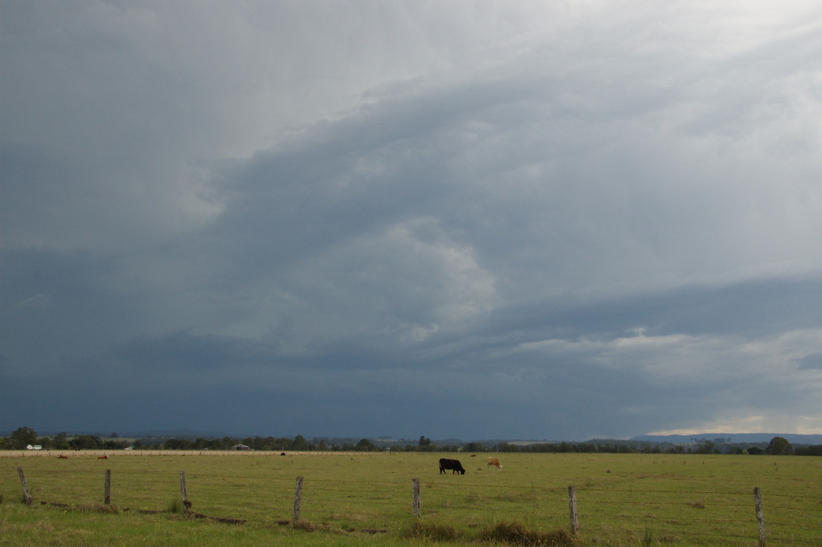 cumulonimbus thunderstorm_base : N of Casino, NSW   21 September 2008