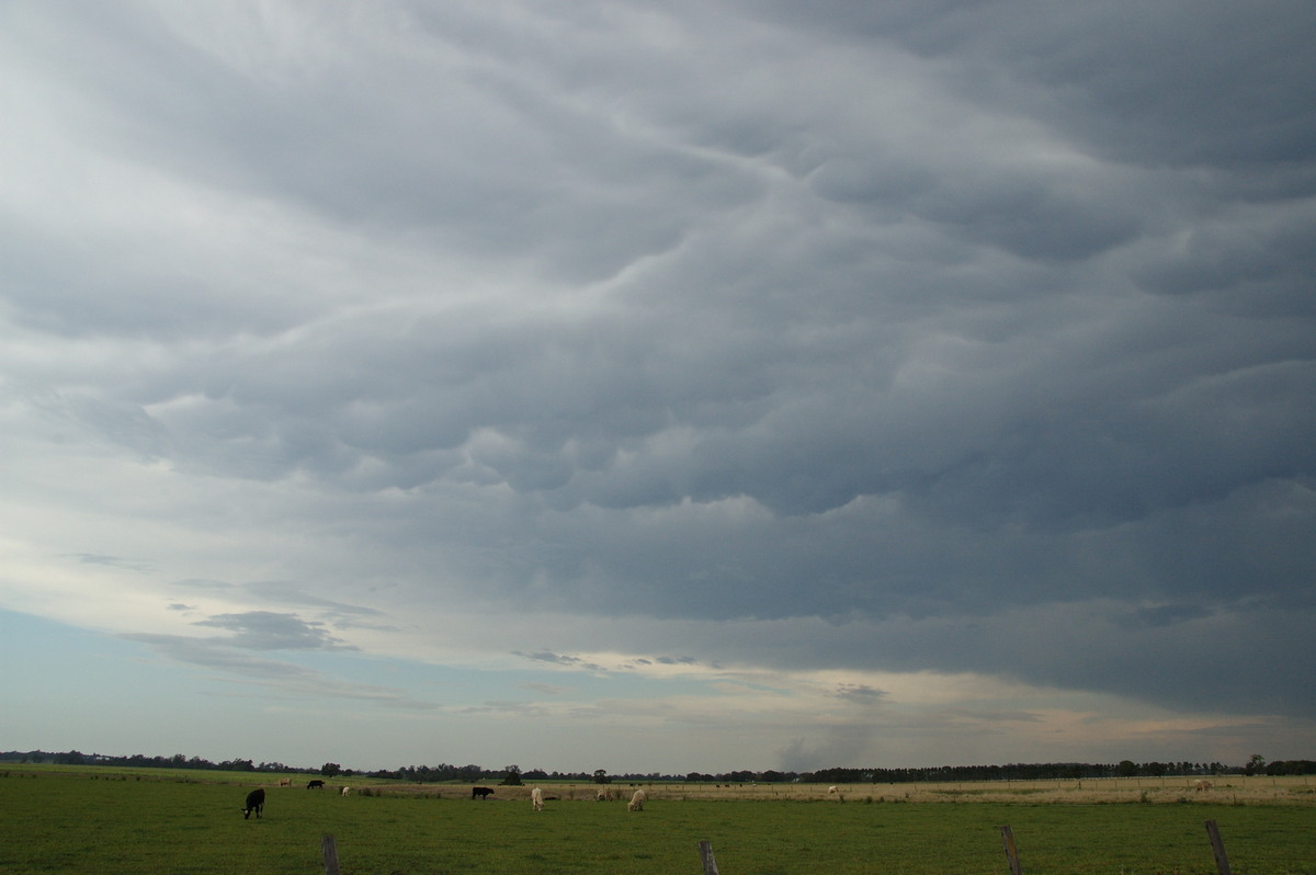 anvil thunderstorm_anvils : N of Casino, NSW   21 September 2008