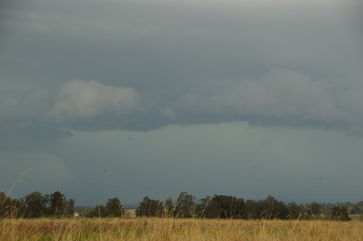 raincascade precipitation_cascade : N of Casino, NSW   21 September 2008