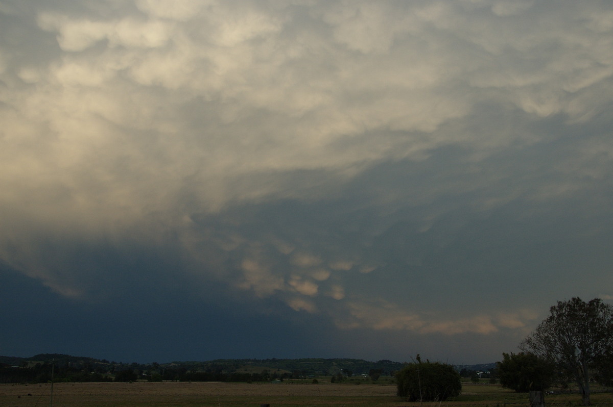 mammatus mammatus_cloud : W of Lismore, NSW   21 September 2008