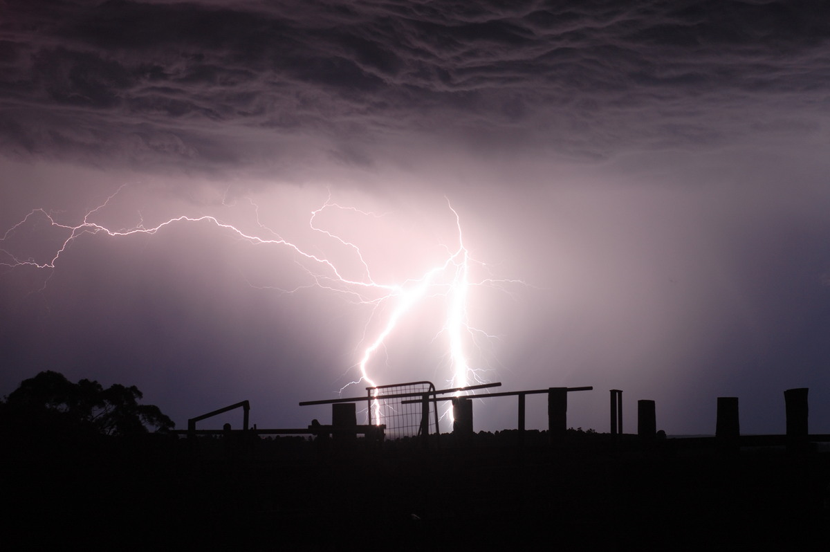 lightning lightning_bolts : Tregeagle, NSW   21 September 2008