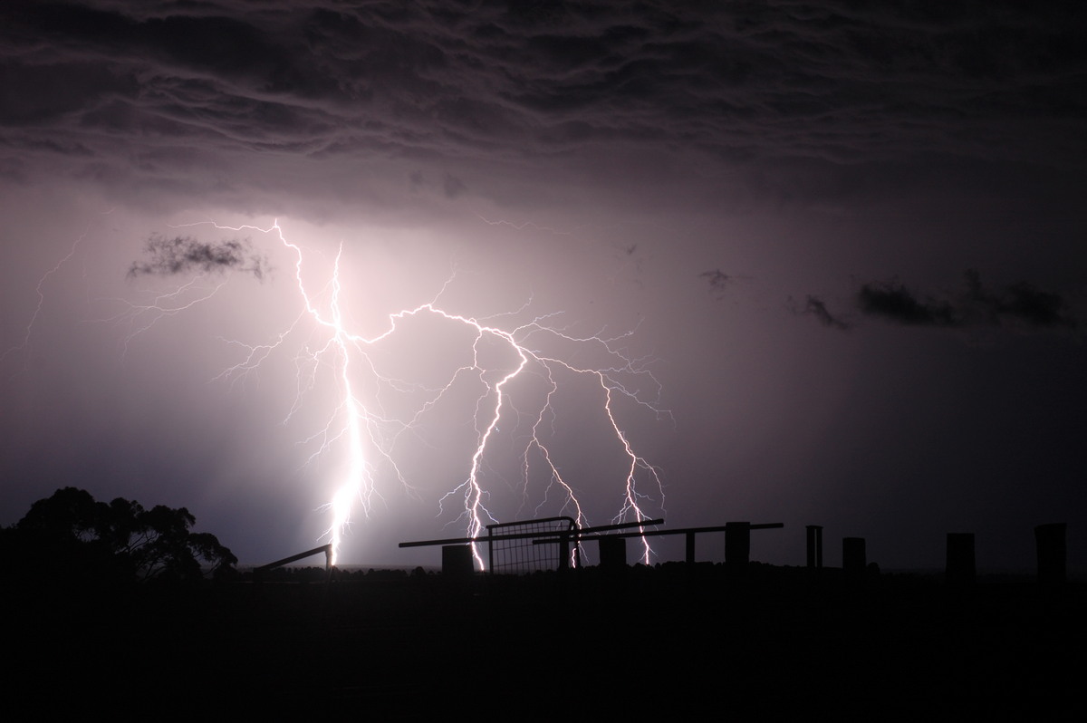 lightning lightning_bolts : Tregeagle, NSW   21 September 2008