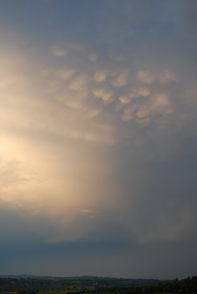 mammatus mammatus_cloud : McLeans Ridges, NSW   21 September 2008